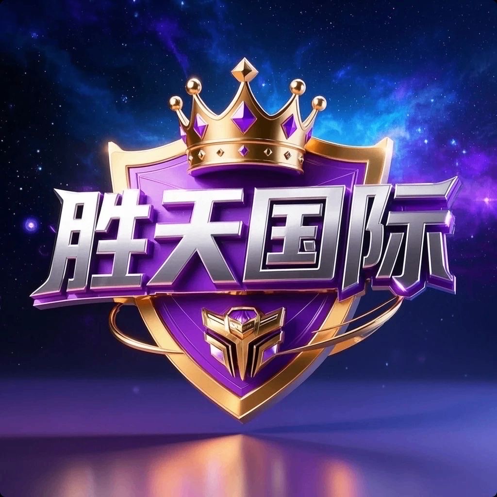 胜天国际 新台内排