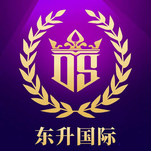 东升国际 送金水大