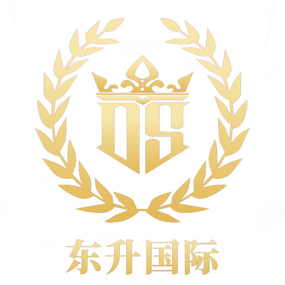 东升国际